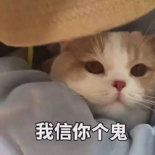 dnf漫沙神抵套外观　dnf元素亡命杀镇姿势-第15张