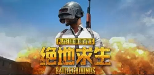 绝地求生全球账号怎么查看　如何知道自己的吃鸡账号-第1张