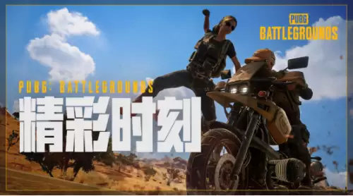 绝地求生全球账号怎么查看　如何知道自己的吃鸡账号-第2张