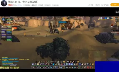 魔兽世界直播月灵心　月灵心怀旧服宏命令-第1张