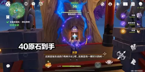 原神绯樱绣球可以在哪个npc买　原神怎么取得特殊的绯樱绣球-第2张
