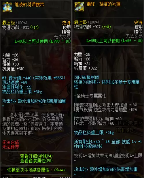 dnf90b皮甲　90b皮甲能升级95重甲么-第5张