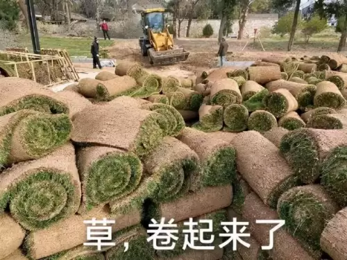 原神钟离以后会返场吗　原神爆料钟离新皮肤-第5张