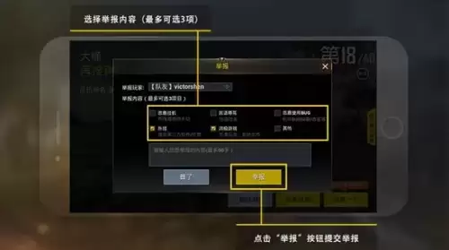 pubg按什么键举报别人　绝地求生如何举报敌人-第3张