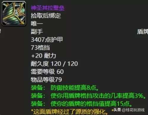 魔兽世界60盾牌大全　魔兽世界-第6张