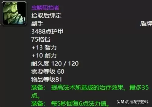 魔兽世界60盾牌大全　魔兽世界-第7张