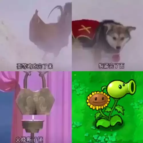 pvz植物大战僵尸图鉴　植物大战所有的僵尸-第2张