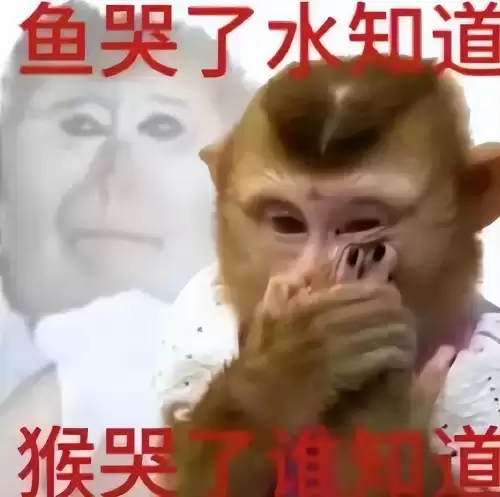 原神钓鱼兑换哪个　元神觉醒什么英雄好-第27张