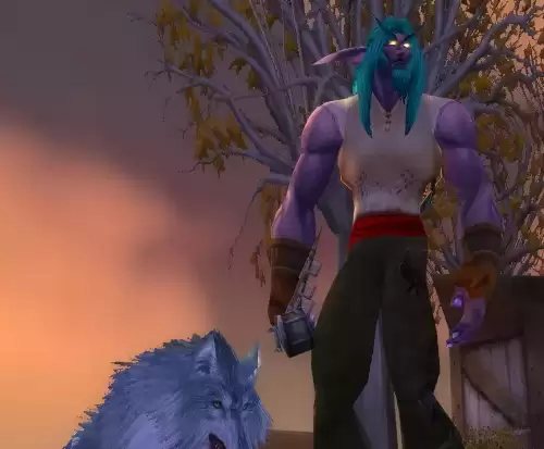 wow衬衣怎么获得　魔兽世界稀有衬衣-第9张