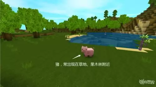 迷你世界哪里动物最多　迷你世界动物村-第3张