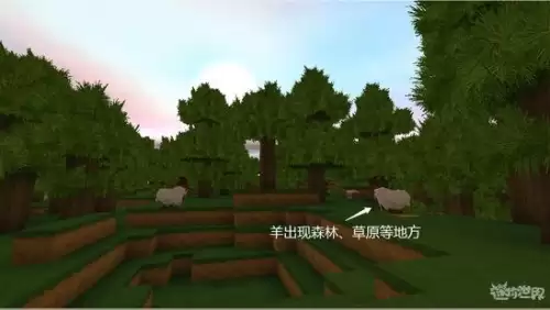 迷你世界哪里动物最多　迷你世界动物村-第4张
