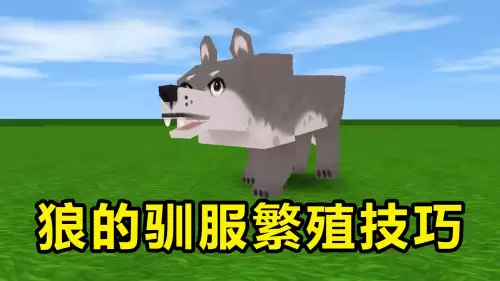 迷你世界中的狼被驯服后吃什么　迷你世界狼吃什么驯服-第1张