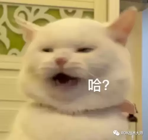 万国觉醒防御　防御觉醒克塞娜-第5张