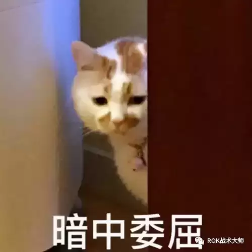 万国觉醒防御　防御觉醒克塞娜-第8张
