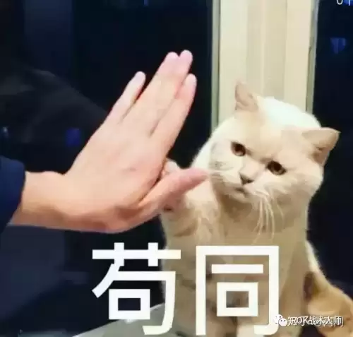 万国觉醒防御　防御觉醒克塞娜-第12张