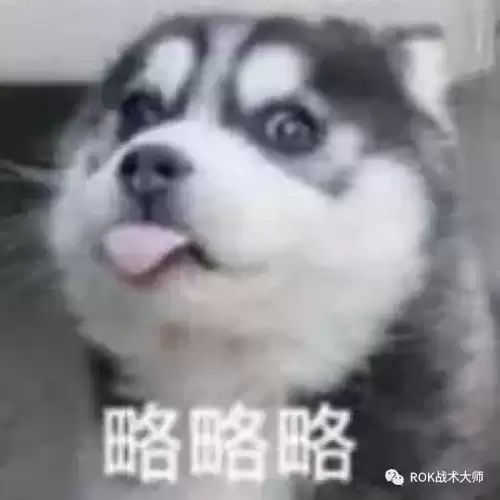 万国觉醒防御　防御觉醒克塞娜-第19张