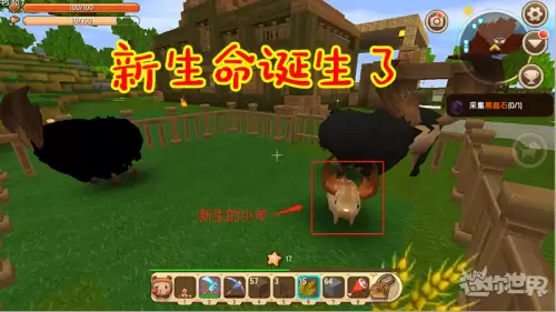 迷你世界什么可以把猪引到这里来　迷你世界猪吃什么繁殖-第8张
