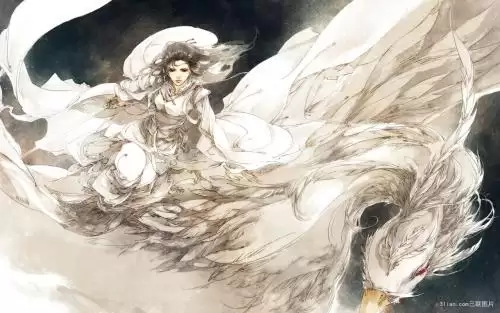 三国之纵横大汉小说　三国之皇定天下-第2张