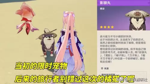 原神怎么在尘歌壶里放东西　原神不记得尘歌壶放哪了怎么办-第3张