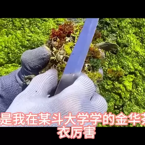 穿书后我苟成了仙尊道侣全文　仙尊-第1张