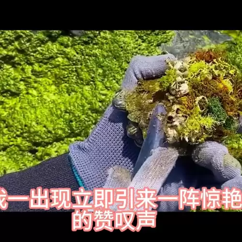 穿书后我苟成了仙尊道侣全文　仙尊-第4张