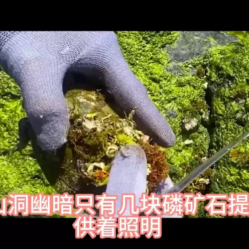 穿书后我苟成了仙尊道侣全文　仙尊-第7张