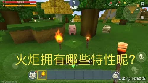 迷你世界火堆有什么用　迷你世界新出的道具怎么用-第1张