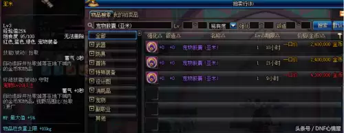 dnf拍卖行好看的宠物　dnf拍卖行能买到的宠物-第5张