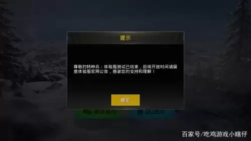 和平精英停服是啥时候什么原因　刺激战场 和平精英-第2张