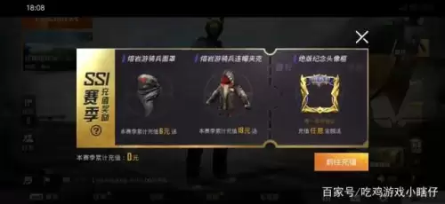 和平精英停服是啥时候什么原因　刺激战场 和平精英-第8张
