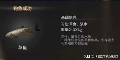 明日之后怎么完成来呀钓鱼啊这个任务　明日之后怎么完成钓鱼任务-第6张