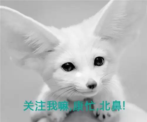 王者荣耀皮肤哪个最好看　王者荣耀最让人惊艳的皮肤-第10张