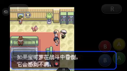口袋妖怪绿宝石493攻略带图　口袋妖怪绿宝石493攻略-第11张