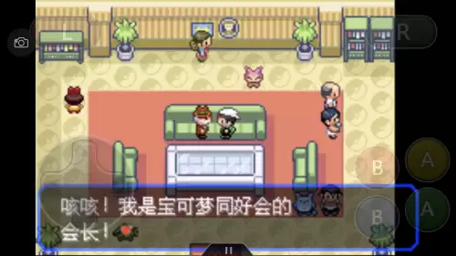 口袋妖怪绿宝石493攻略带图　口袋妖怪绿宝石493攻略-第13张