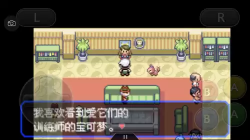 口袋妖怪绿宝石493攻略带图　口袋妖怪绿宝石493攻略-第16张