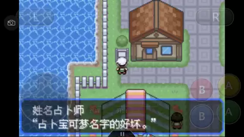 口袋妖怪绿宝石493攻略带图　口袋妖怪绿宝石493攻略-第20张
