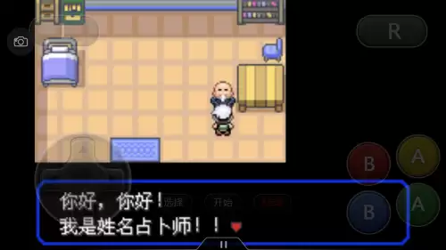 口袋妖怪绿宝石493攻略带图　口袋妖怪绿宝石493攻略-第22张