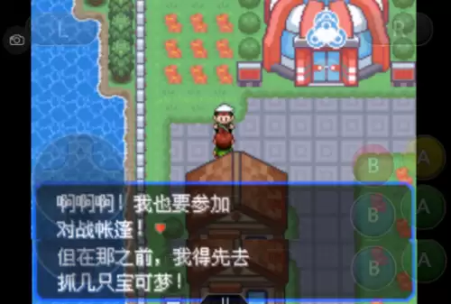 口袋妖怪绿宝石493攻略带图　口袋妖怪绿宝石493攻略-第25张