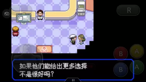 口袋妖怪绿宝石493攻略带图　口袋妖怪绿宝石493攻略-第30张
