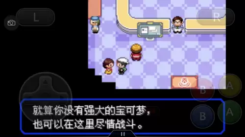 口袋妖怪绿宝石493攻略带图　口袋妖怪绿宝石493攻略-第31张