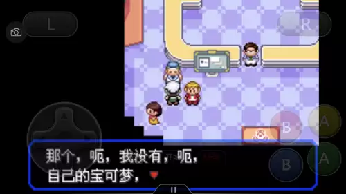 口袋妖怪绿宝石493攻略带图　口袋妖怪绿宝石493攻略-第33张