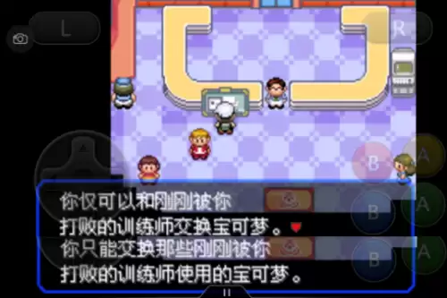 口袋妖怪绿宝石493攻略带图　口袋妖怪绿宝石493攻略-第40张
