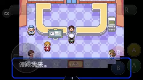 口袋妖怪绿宝石493攻略带图　口袋妖怪绿宝石493攻略-第50张