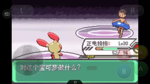 口袋妖怪绿宝石493攻略带图　口袋妖怪绿宝石493攻略-第58张