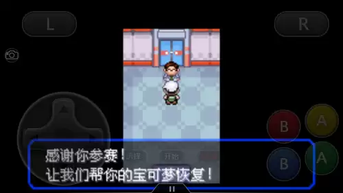 口袋妖怪绿宝石493攻略带图　口袋妖怪绿宝石493攻略-第59张
