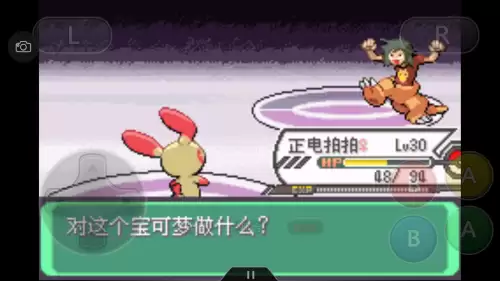 口袋妖怪绿宝石493攻略带图　口袋妖怪绿宝石493攻略-第68张