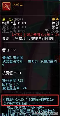 dnf帕拉丁上衣时装技能　帕拉丁时装上衣伤害变化-第3张
