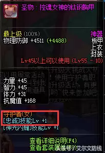 dnf帕拉丁上衣时装技能　帕拉丁时装上衣伤害变化-第4张
