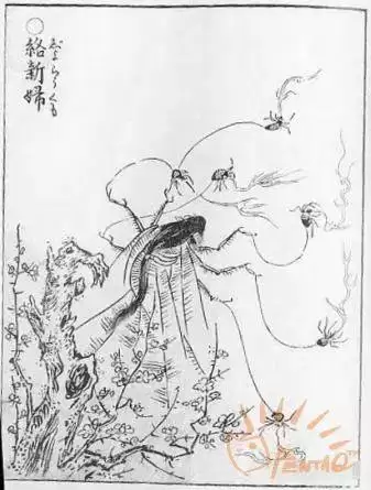 lol蜘蛛女皇日服配音　LOL蜘蛛女皇-第18张
