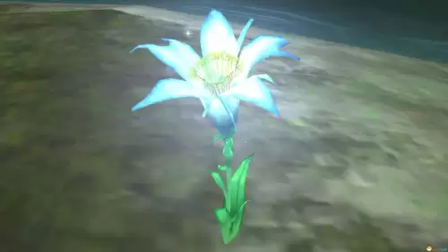 魔兽世界林鬼的游戏任务在哪接　鬼灵精华做祈福任务-第82张